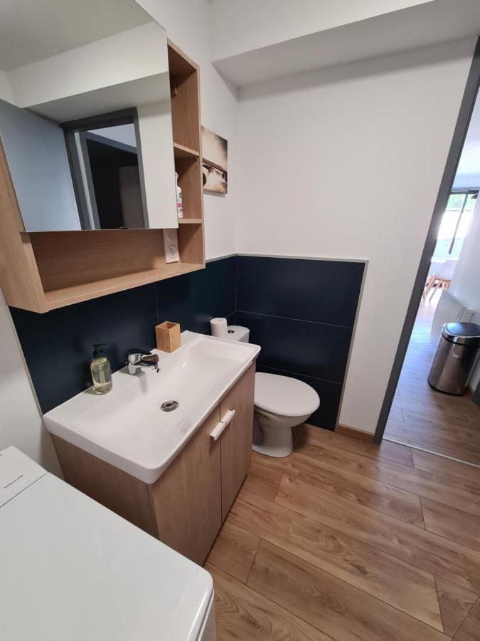 Appartement Le Cosy 3 Etoiles 萨亚古斯 外观 照片